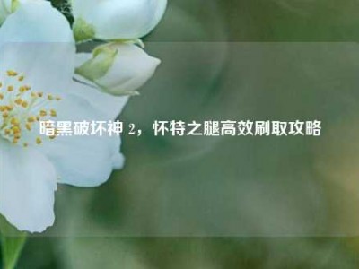 暗黑破坏神 2，怀特之腿高效刷取攻略