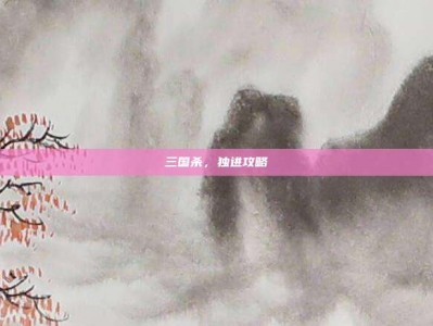 三国杀，独进攻略