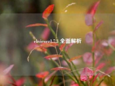 ehviewer1.7.3 全面解析