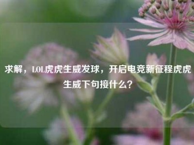 求解，LOL虎虎生威发球，开启电竞新征程虎虎生威下句接什么？