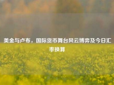 美金与卢布，国际货币舞台风云博弈及今日汇率换算