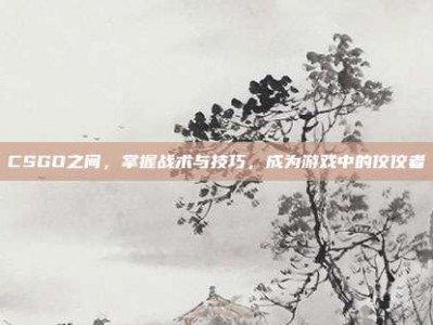 CSGO之间，掌握战术与技巧，成为游戏中的佼佼者