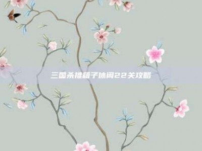 三国杀推箱子休闲22关攻略