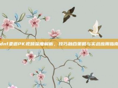 dnf柔道PK视频深度解析，技巧融合策略与实战应用指南