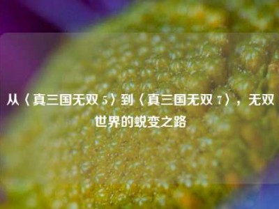 从〈真三国无双 5〉到〈真三国无双 7〉，无双世界的蜕变之路