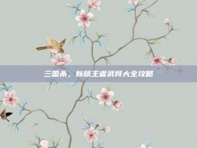 三国杀，新版王者武将大全攻略