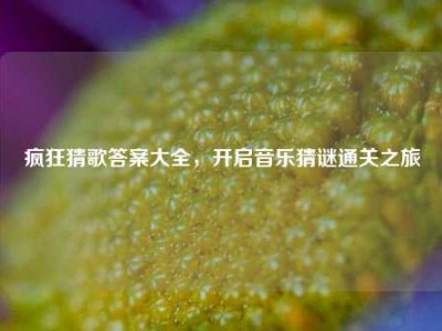 疯狂猜歌答案大全，开启音乐猜谜通关之旅
