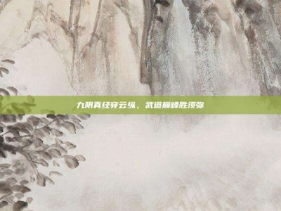 九阴真经穿云纵，武道巅峰胜须弥