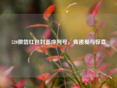 520微信红包封面序列号，传递爱与惊喜