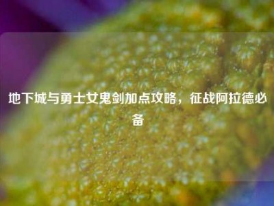 地下城与勇士女鬼剑加点攻略，征战阿拉德必备