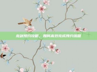 龙剑预约攻略，如何高效完成预约流程