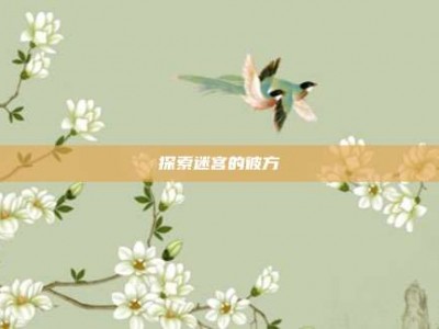 探索迷宫的彼方