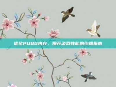 优化PUBG内存，提升游戏性能的终极指南