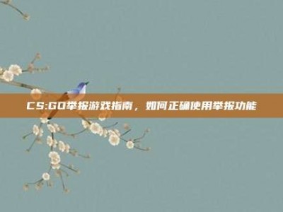 CS:GO举报游戏指南，如何正确使用举报功能