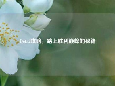 Dota2攻略，踏上胜利巅峰的秘籍