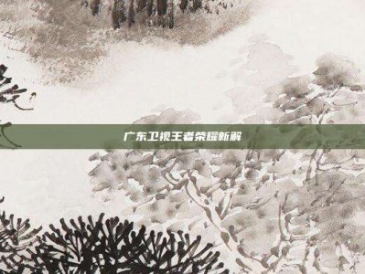 广东卫视王者荣耀新解