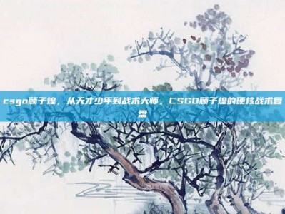 csgo顾子煌，从天才少年到战术大师，CSGO顾子煌的硬核战术复盘