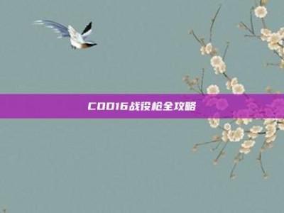 COD16战役枪全攻略