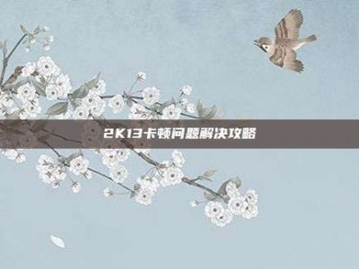 2K13卡顿问题解决攻略