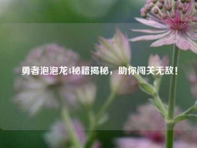 勇者泡泡龙4秘籍揭秘，助你闯关无敌！