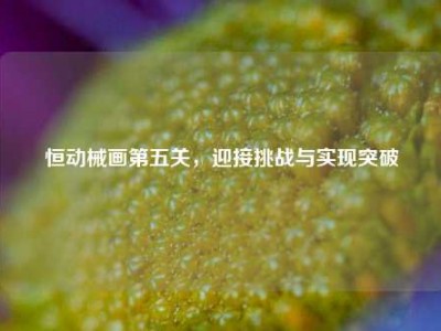 恒动械画第五关，迎接挑战与实现突破