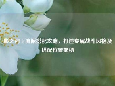影之刃 3 流派搭配攻略，打造专属战斗风格及搭配位置揭秘