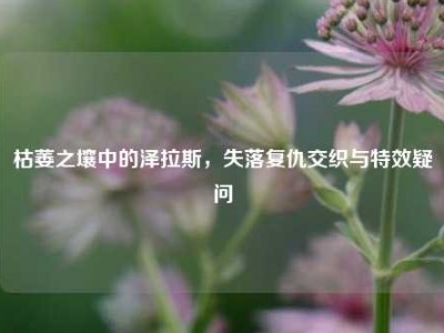枯萎之壤中的泽拉斯，失落复仇交织与特效疑问