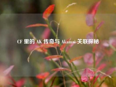 CF 里的 AK 传奇与 Akamai 关联探秘