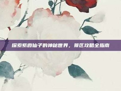 探索紫霞仙子的神秘世界，景区攻略全指南