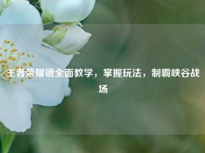 王者荣耀镜全面教学，掌握玩法，制霸峡谷战场