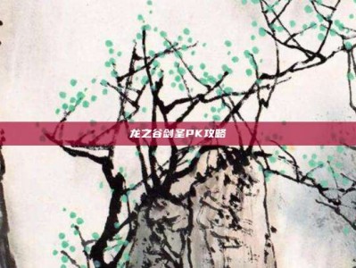 龙之谷剑圣PK攻略