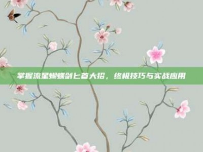 掌握流星蝴蝶剑匕首大招，终极技巧与实战应用