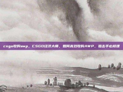 csgo收购awp，CSGO经济大师，如何高效收购AWP，狙击手必修课