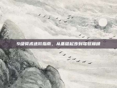 9级骑术进阶指南，从基础起步到驾驭巅峰
