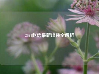 2021赵信最新出装全解析