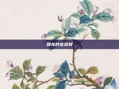 卧龙吟会谈将