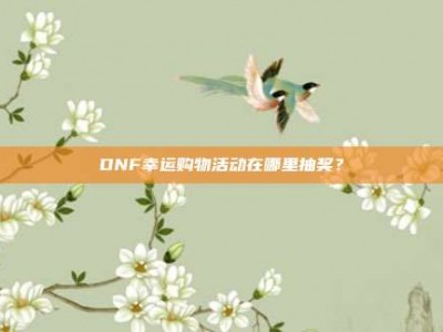 DNF幸运购物活动在哪里抽奖？