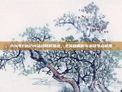 214年FM214活动何时推出，全流程解析与关键节点梳理
