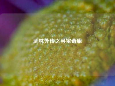 武林外传之寻宝奇旅