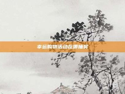 幸运购物活动在哪抽奖