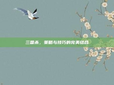 三国杀，策略与技巧的完美结合