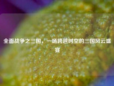 全面战争之三国，一场跨越时空的三国风云盛宴