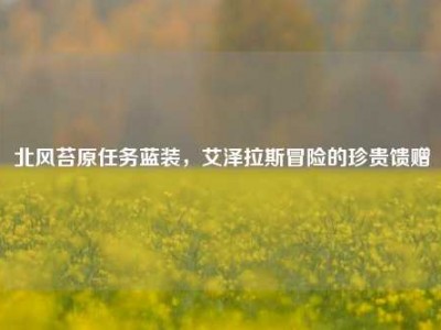 北风苔原任务蓝装，艾泽拉斯冒险的珍贵馈赠