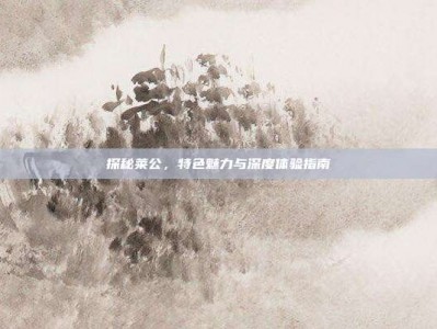 探秘莱公，特色魅力与深度体验指南