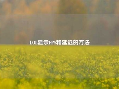 LOL显示FPS和延迟的方法