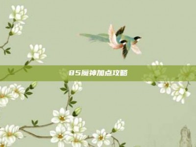 85魔神加点攻略
