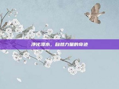 净化潭水，自然力量的奇迹