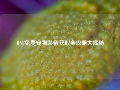 DNF免费宠物装备获取全攻略大揭秘