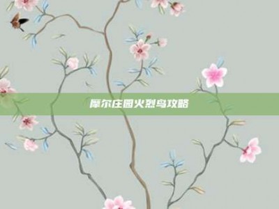 摩尔庄园火烈鸟攻略