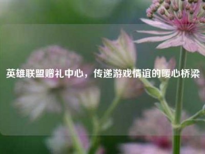 英雄联盟赠礼中心，传递游戏情谊的暖心桥梁